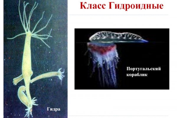 Ссылки сайтов даркнета