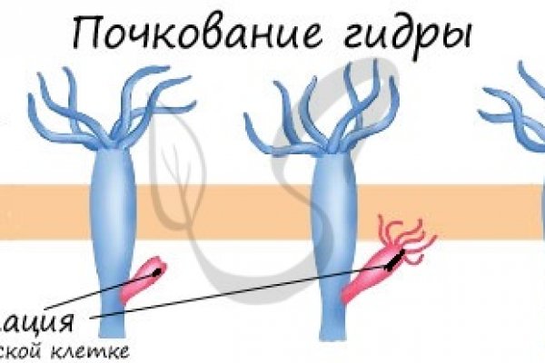 Можно ли вывести деньги с кракена