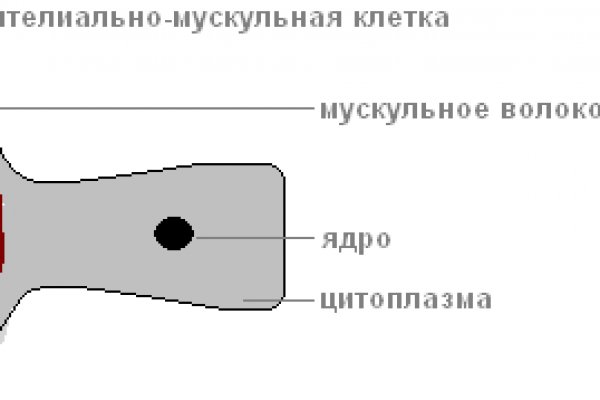 Кракен даркнет купить